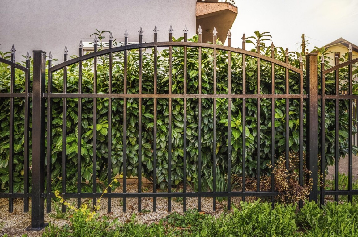 Wrought Iron Fencing in Cotulla, TX